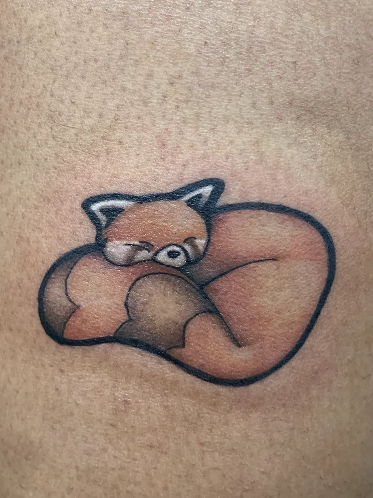 Sleeping red panda tattoo by Sav