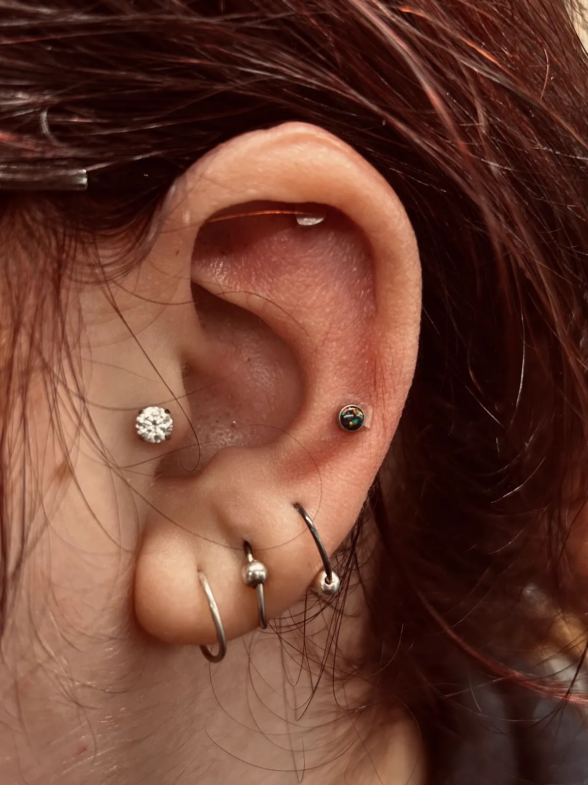 Multiple lobe piercings with hoops by Sydney